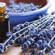 Benefits of Dog Grooming Products: Good Dogma brings you information about simple, all natural lines of dog grooming products that are equally safe for dogs and dog lovers alike. Gentle...