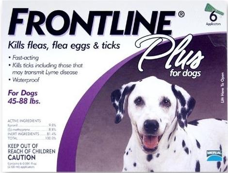 Frontline Treatment to get rid of fleas on dogs