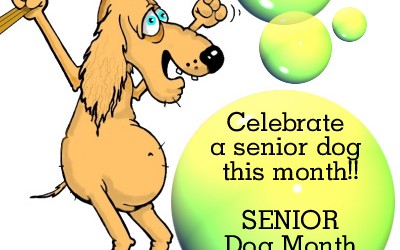 Image by DogCartoons I was sent a useful checklist the other day by a fellow dog lover, which covers a few things that you should be aware of as your...